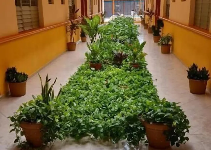 Isla Esmeralda Aparthotel 2*